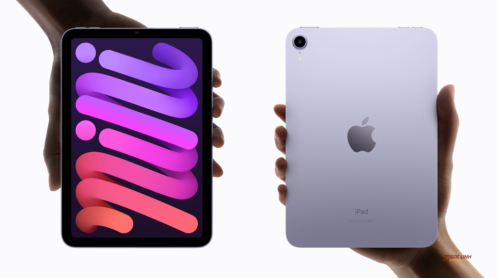 Pad Mini 7 sẵn sàng ra mắt vào thu này