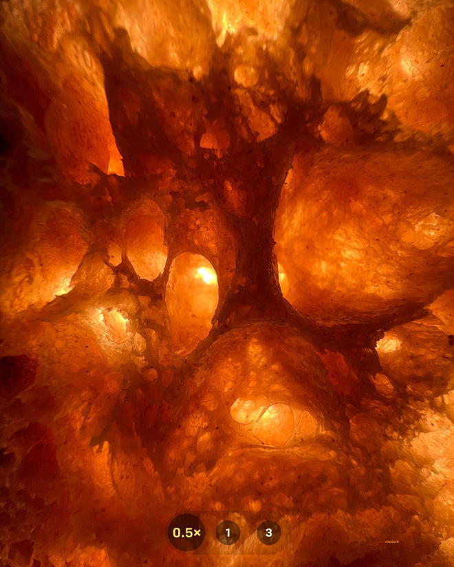 Ảnh chụp macro cực xịn xò trên iPhone 13 Pro