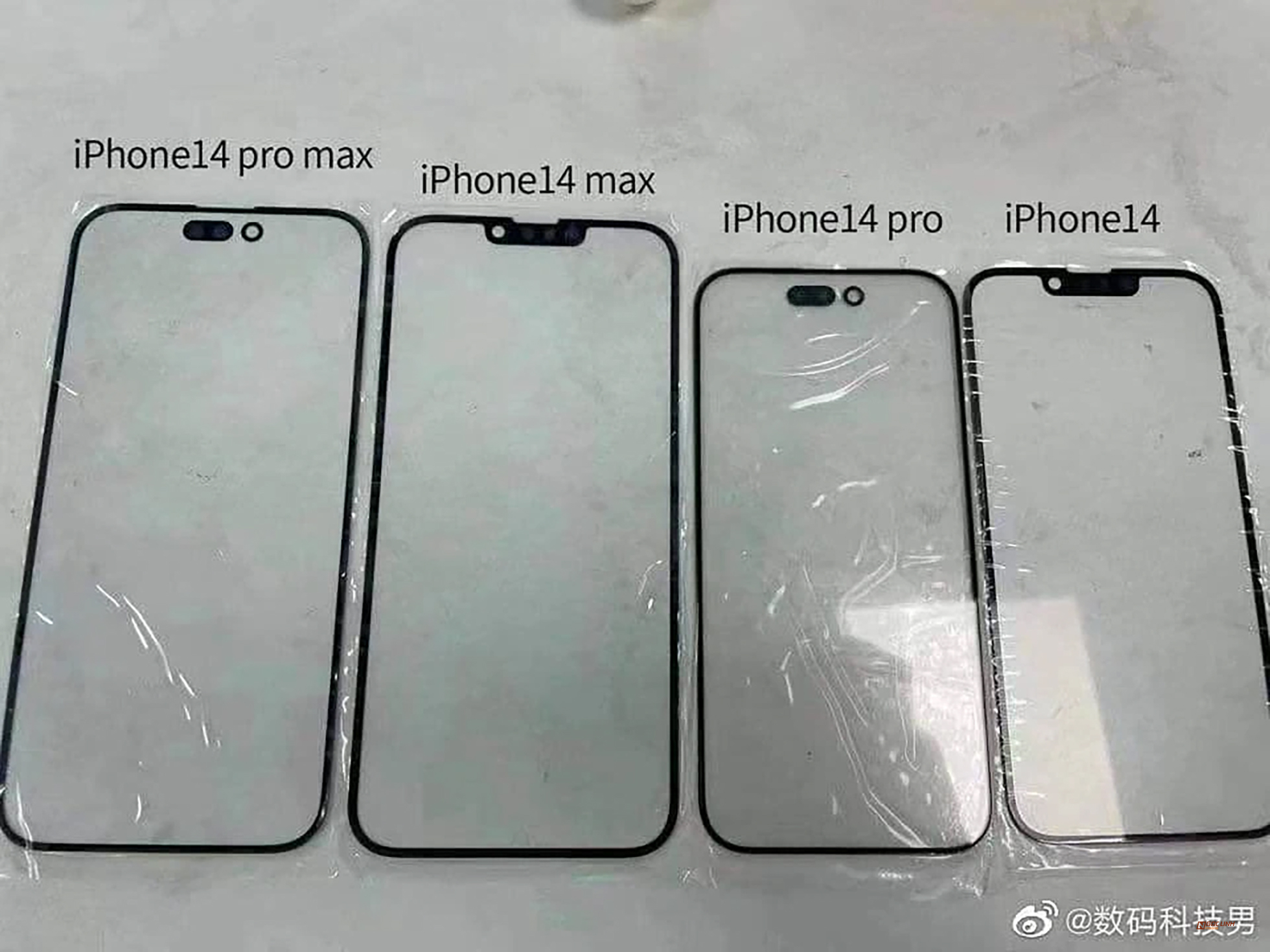Miếng dán màn hình iPhone 14 lộ diện chi tiết